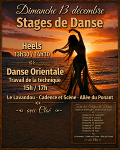 stage du dimanche 13 décembre
