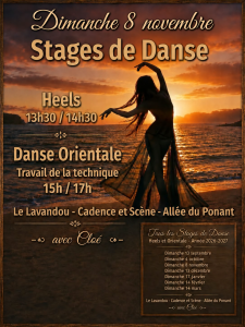 stage du 8 novembre