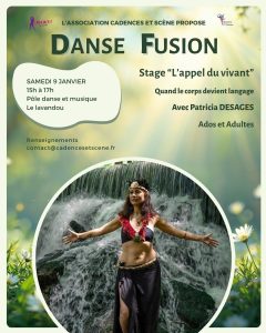 stage danse fusion